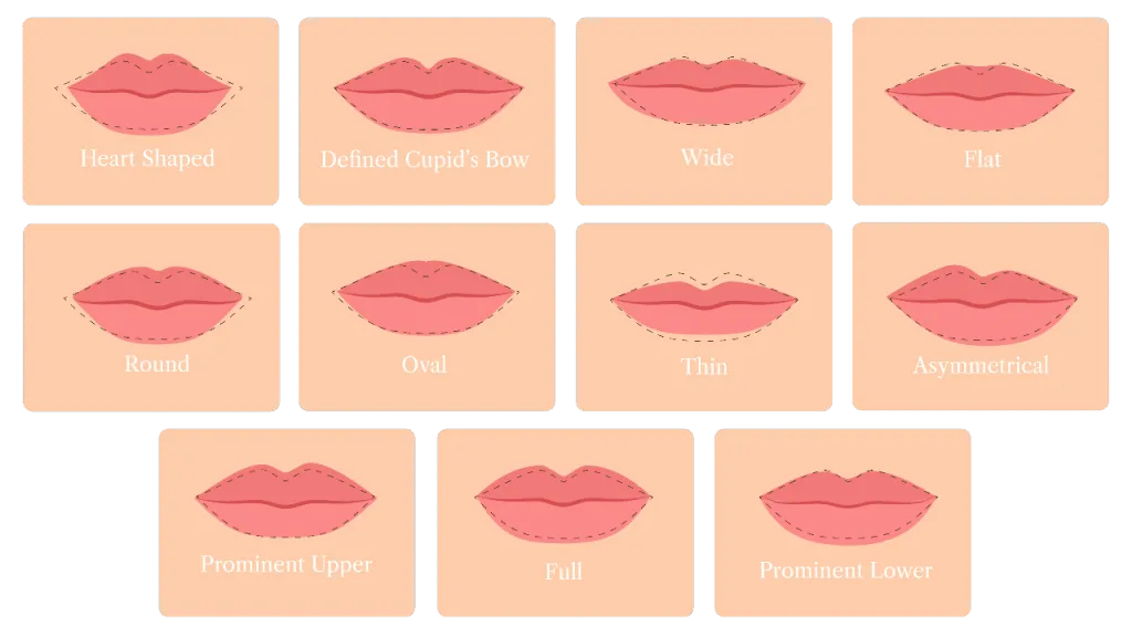 cupid-bow-lips_all_shapes-1024x576