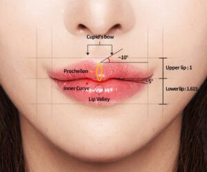 sharp-cupid-bow