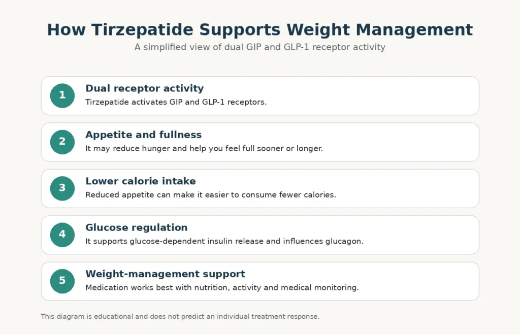 how-tirzepatide-supports-weight-management
